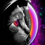 Коля Зигзаг