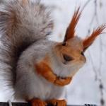 Руслан Рахимов