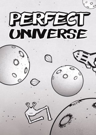 Perfect Universe