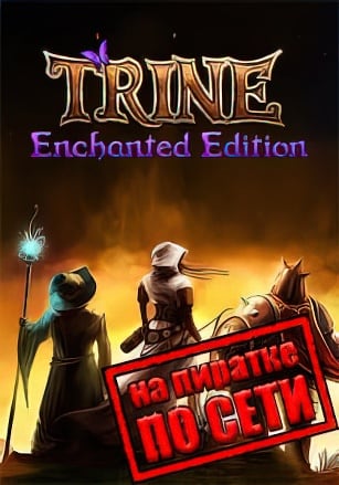 Версия Trine Enchanted Edition по сети