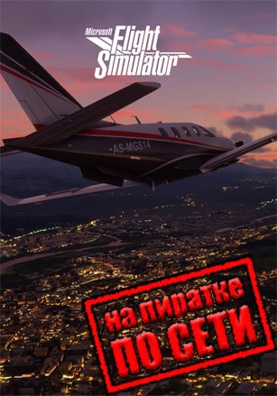 Версия Microsoft Flight Simulator по сети